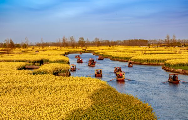 Flower Fields Touring thumbnail