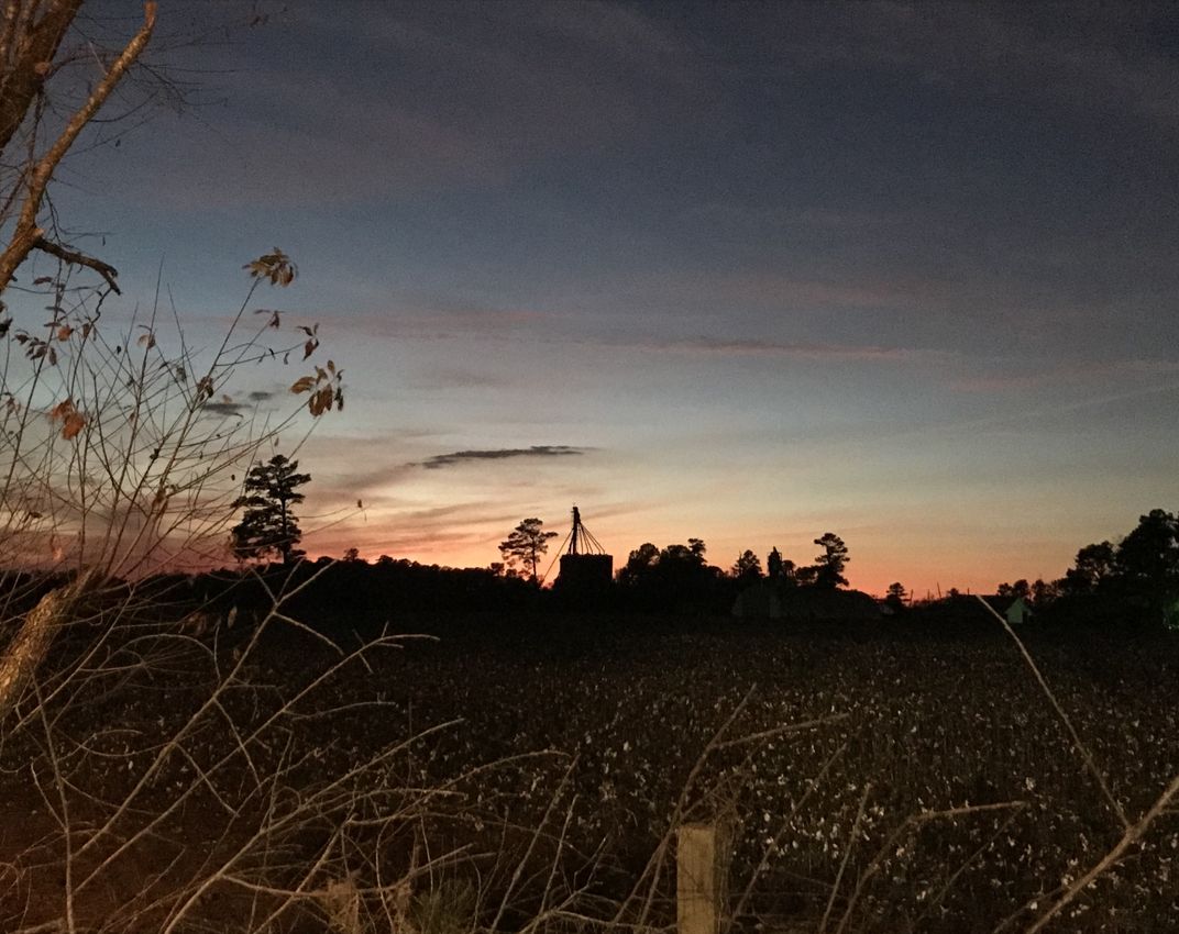 Cotton fields near Suffolk, Virginia Smithsonian Photo Contest
