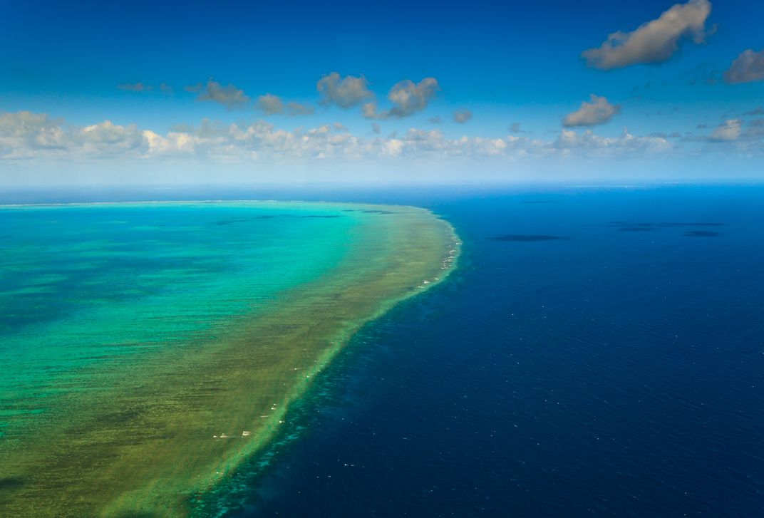 The Great Barrier Reef