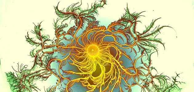 Colonies of Growing Bacteria Make Psychedelic Art