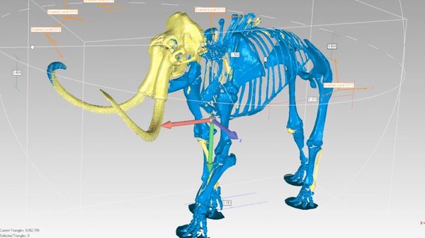 Preview thumbnail for How Do You 3D Scan a Dinosaur?
