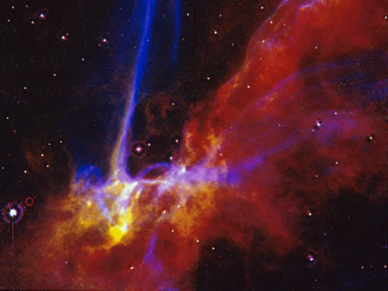 april-24-2019-cygnus-loop-supernova-remnant.jpg