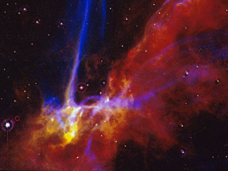 april-24-2019-cygnus-loop-supernova-remnant.jpg