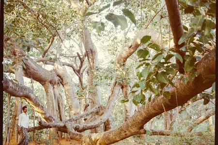 The government worker Chandra Rangani tends to the health of Thimmamma Marrimanu.