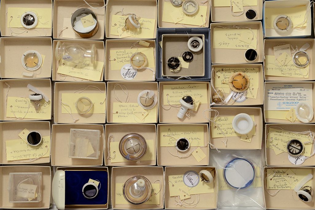 Heart Valves