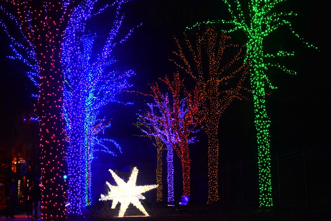 Holiday Lights in Atlanta, Smithsonian Photo Contest