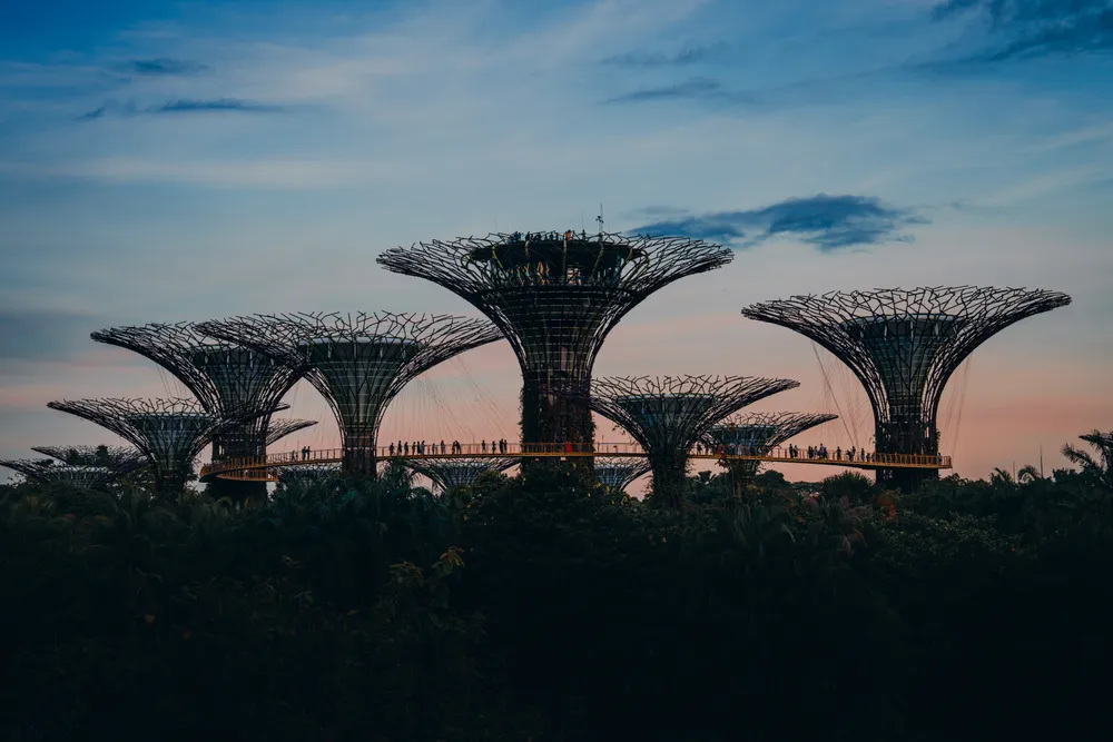 Beautiful Singapore, the city of the future, is not purely made of concrete and glass, but features a beautiful balance between nature and modern society. Singapore is a prime example of how future cities can look. The Supertree Grove at the Gardens by the Bay is an iconic representation of Singapore's unique excellence.