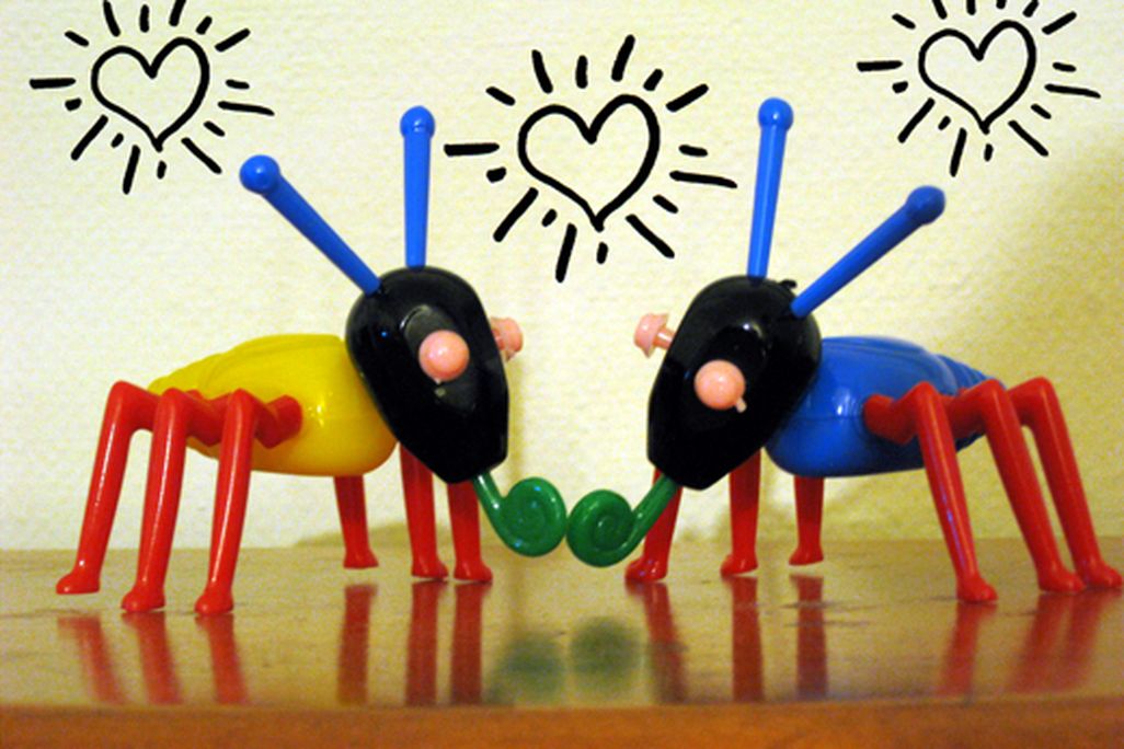 20110520102408cootie.jpg
