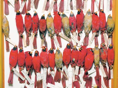 photo_bird.jpg