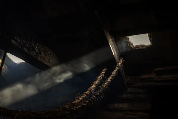 Peat & Sun thumbnail