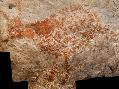 This painting of a cattle-like animal in a Borneo cave has been dated at at least 40,000 years old, making it the oldest known figurative rock art in the world. 