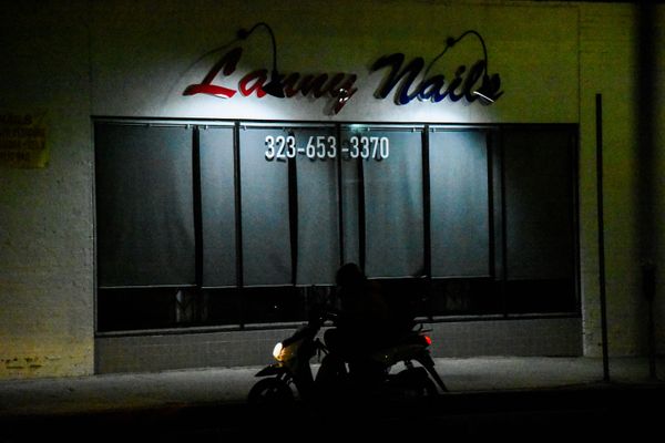 The Wild One thumbnail