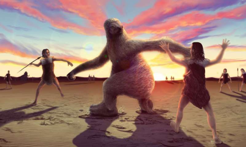 Sloth Fight