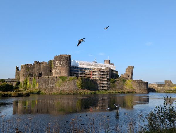 Remodeling the Castle with gulls thumbnail