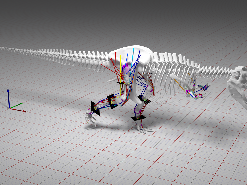 T-Rex running Dinosaur