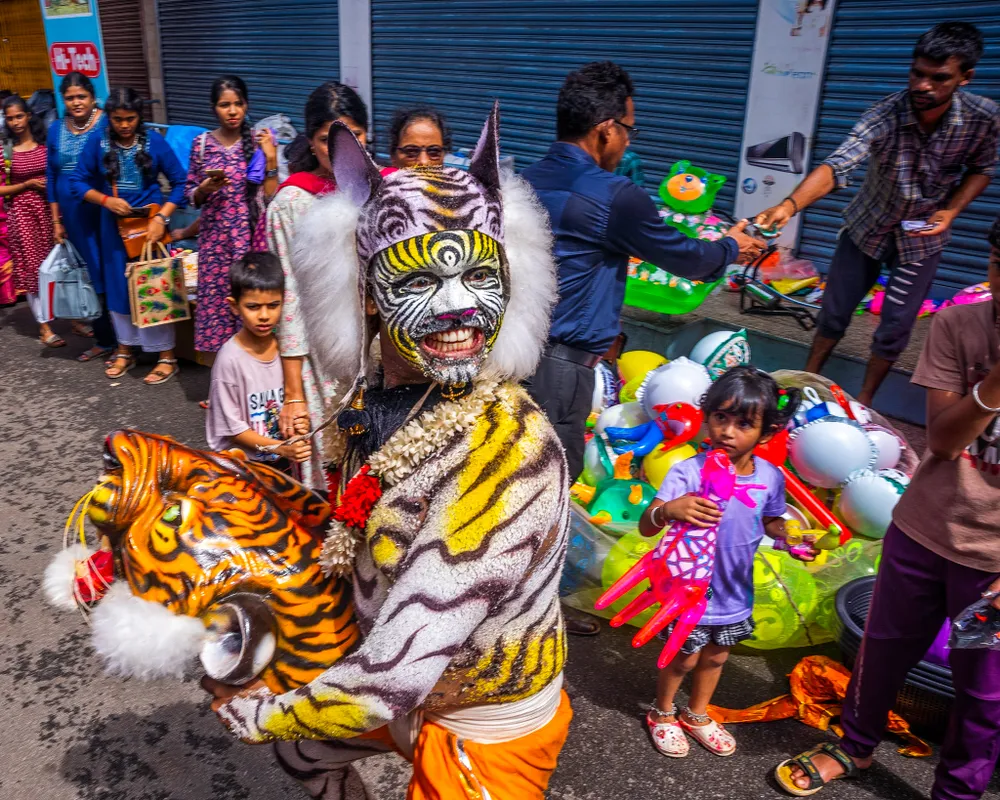 The Hulivesha, or 'Tiger Dance', is a vibrant and unique folk dance integral to the cultural identity of coastal Karnataka, India. This dynamic art form, performed during the Navratri and Dussehra festivals, is a devotional tribute to Goddess Durga, whose favored vehicle is the tiger.

Performers, typically young men and now increasingly women and girls, spend hours meticulously painting their bare bodies with intricate tiger, cheetah, or leopard stripes using vibrant yellow, orange, black, and white colors. They don tiger masks or headgear and move through the streets to the rhythmic and energetic beats of traditional drums. The dance is a powerful spectacle, involving impressive acrobatic stunts like fire breathing, hand walking, and headstands, all designed to mimic the fierce and agile movements of the big cat.

For the agrarian communities, this dance symbolizes strength, valor, and the protective power of the goddess, believed to repel evil and safeguard the community. What was once a humble, localized ritual performed as a vow has evolved into a competitive and inclusive urban art form, with dozens of troupes vying for recognition during the grand Mangalore Dasara processions. 
More than just entertainment, Hulivesha is a living heritage, a roaring testament to the enduring spirit and rich traditions bringing the community together in a shared expression of faith and cultural pride.