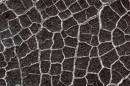 “Polygon” terrain on Mars.
