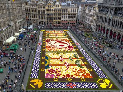 The design of the 2016 Brussels Flower Carpet was based off of Japanese patterns.