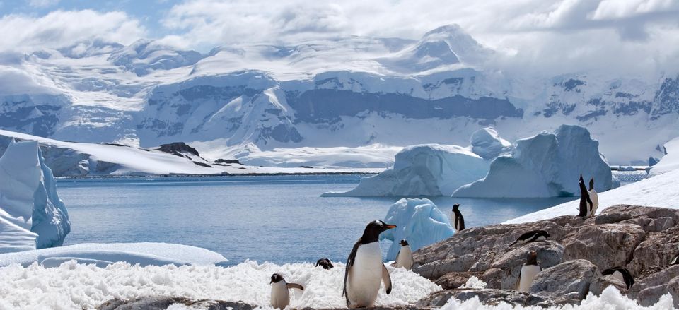  Mountains, ice, and penguins of Antarctica 