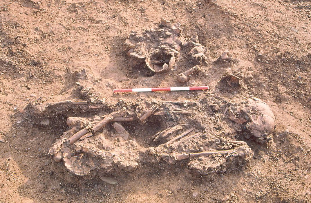 A dusty brown ground with a skull and skeleton, curled into what looks like a fetal position