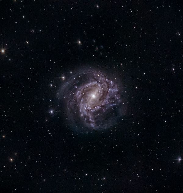 The Southern Pinwheel galaxy thumbnail