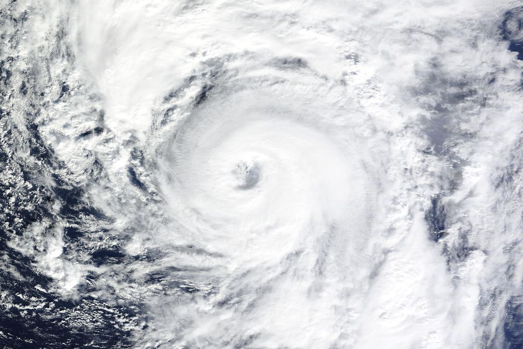 hurricane alex