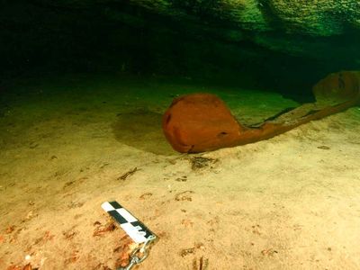 Researchers have tentatively dated the canoe to between 830 and 950 C.E.