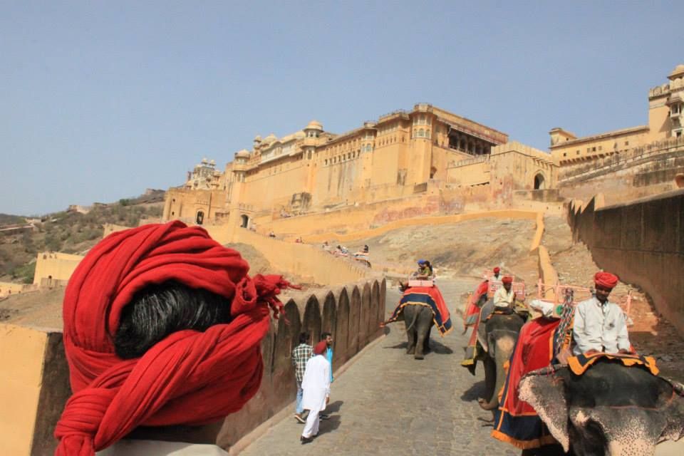 Climbing up to the Amer fort on Elephants with my family. | Smithsonian ...