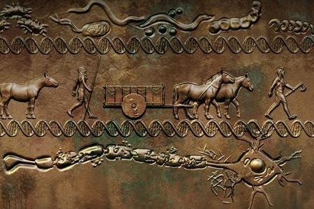 Genes that significantly increase risk of developing multiple sclerosis were introduced to northwestern Europe by herders who migrated from the east around 5,000 years ago.