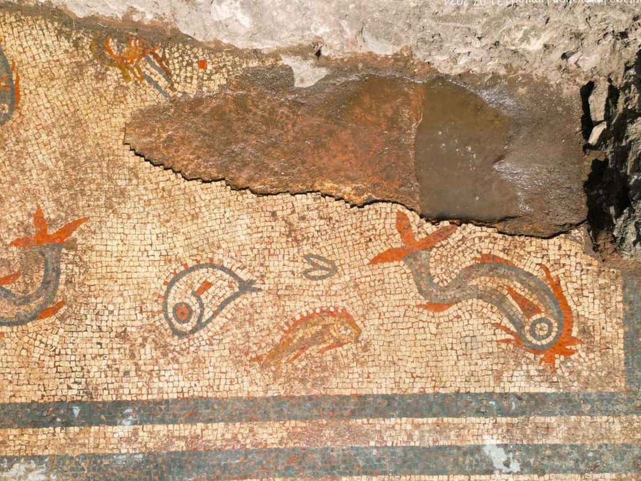 Archaeologists Stumble Upon a 2,000-Year-Old Dolphin Mosaic in England