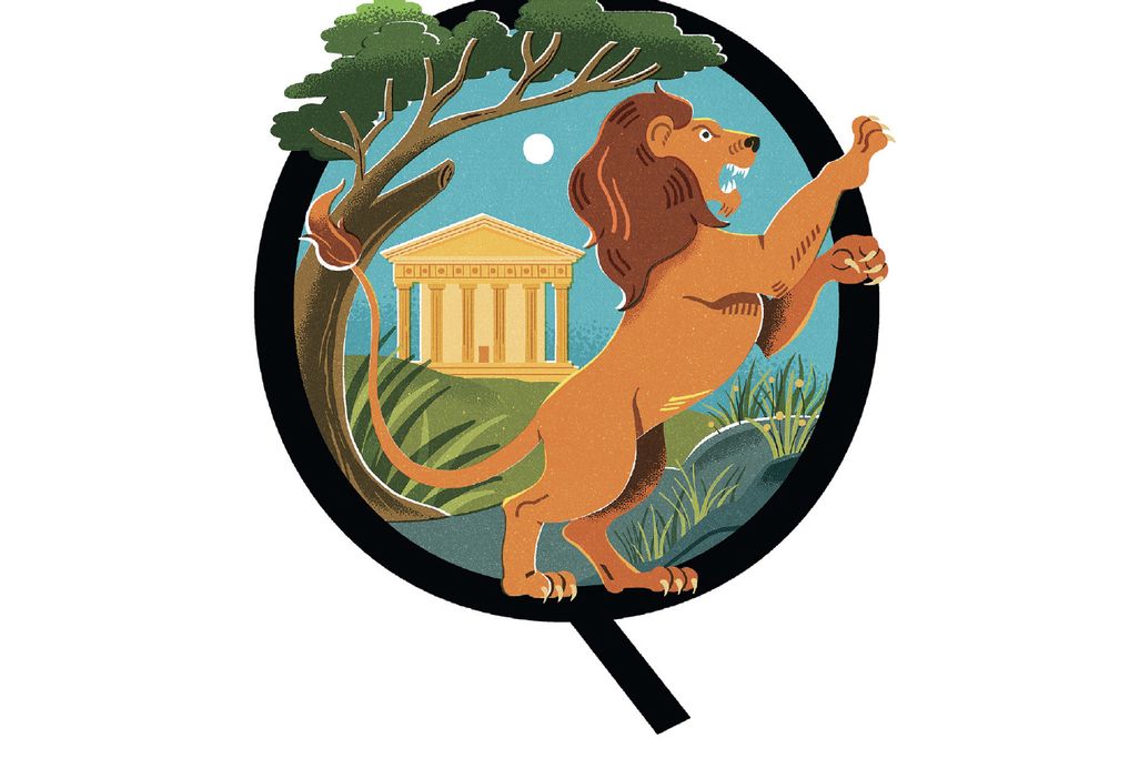 Lion illo