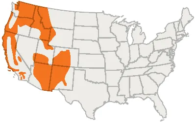 Northern pygmy-owl Map