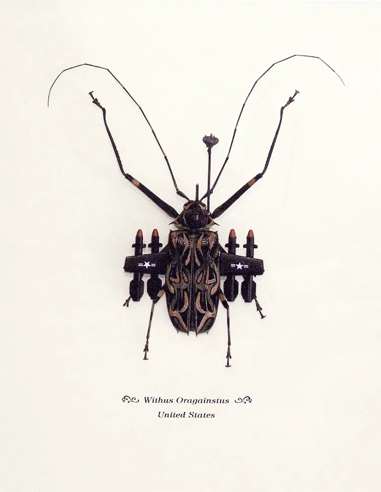 The Creepy, Crawling History of Insect Art