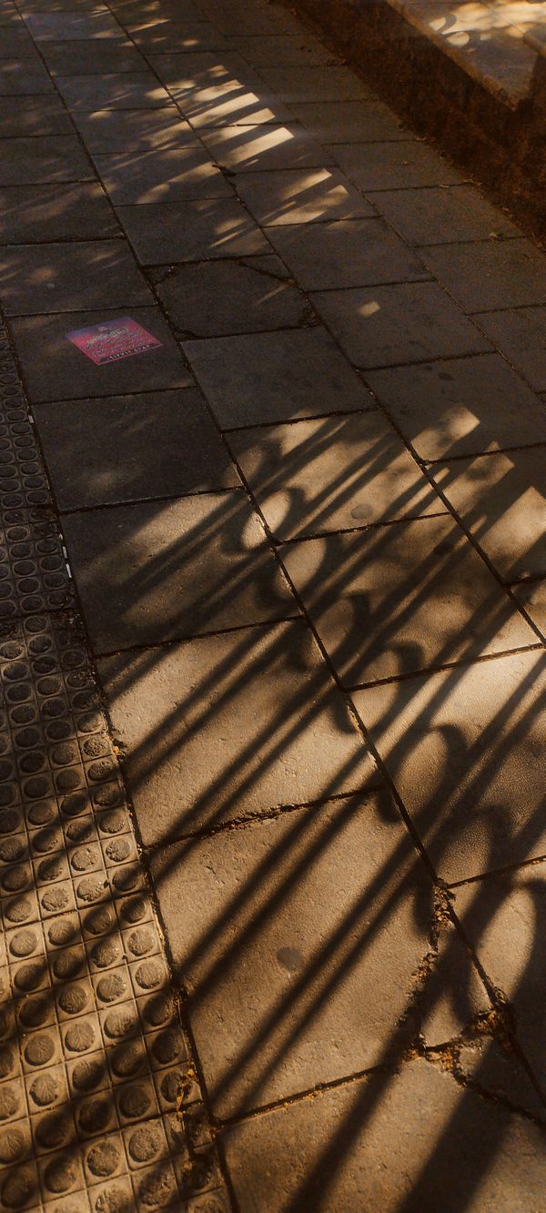 Fences of Light thumbnail