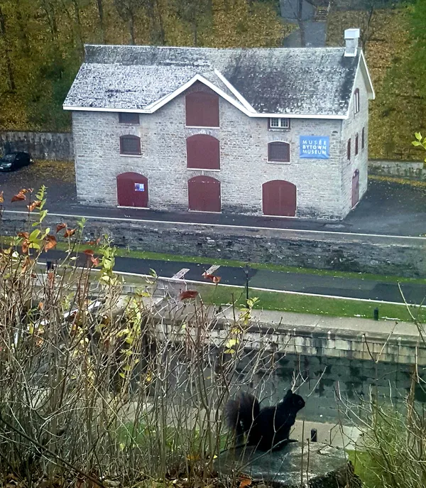 THE DOLLS' HOUSE thumbnail