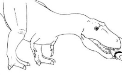 Part of a multi-step sequence by which Tyrannosaurus could have beheaded Triceratops, based on research by Fowler et al.