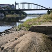 'Hunger Stones' Resurface in Europe, Bringing Centuries-Old Warnings Back Into View as Rivers Hit Historic Lows