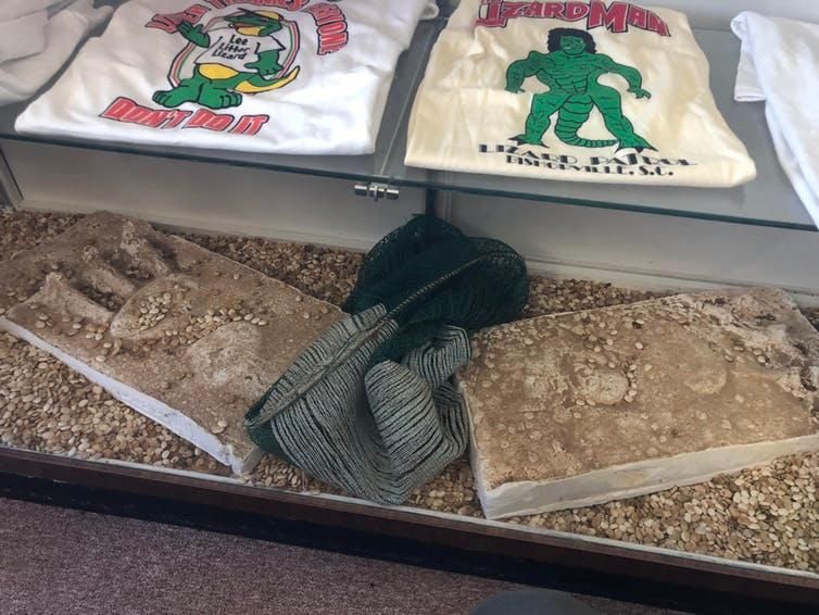 Plaster Lizard Man prints and T-shirts on display at the South Carolina Cotton Museum.