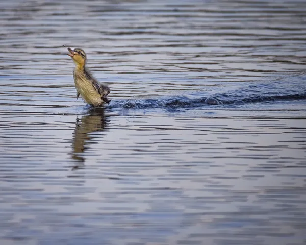 Almost There thumbnail