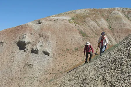Allie and Elizabeth make their way across a steep badland slope as we prospect for new sites to collect Paleocene-Eocene Thermal Maximum plant fossils. The red layers on the hill behind them represent the lowest part of the PETM.