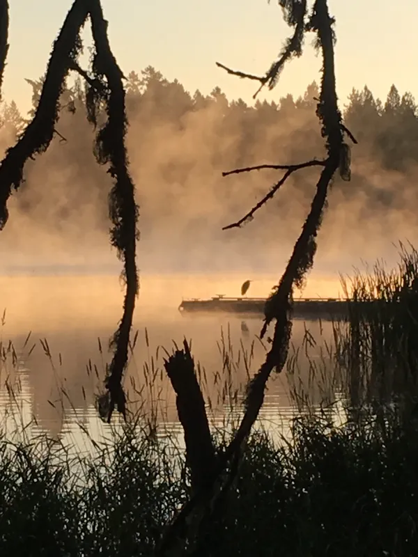 Quiet morning on Lake Selmac thumbnail