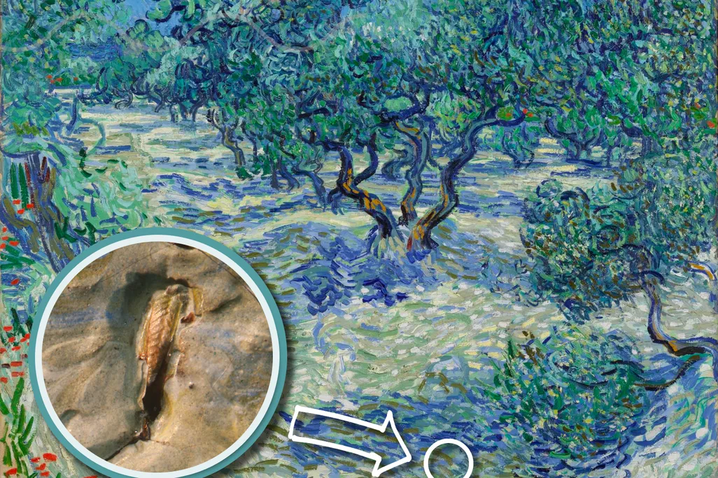 Grasshopper superimposed over van Gogh's "Olive Trees"