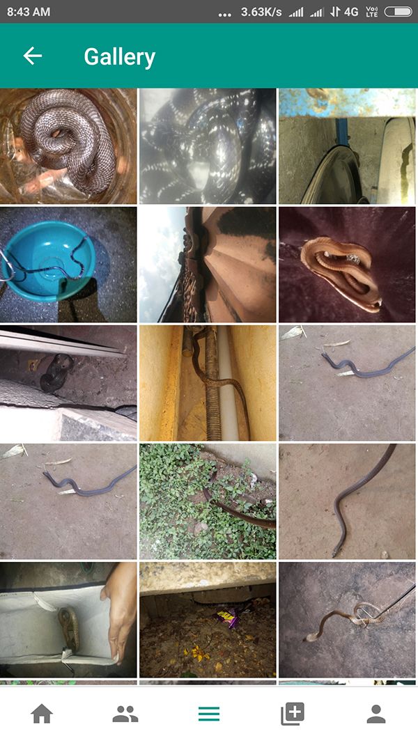 This App Is Saving Thousands of Snakes (and Humans) in India
