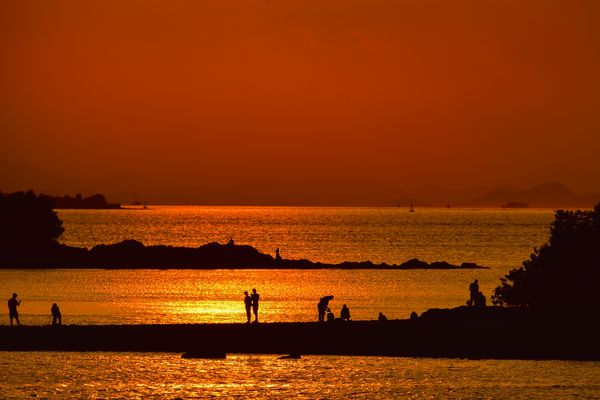 Sunny Bay's Sunset thumbnail