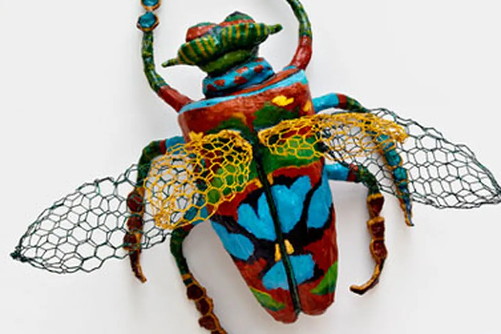 20121102100008SummerBeetle-web.jpg