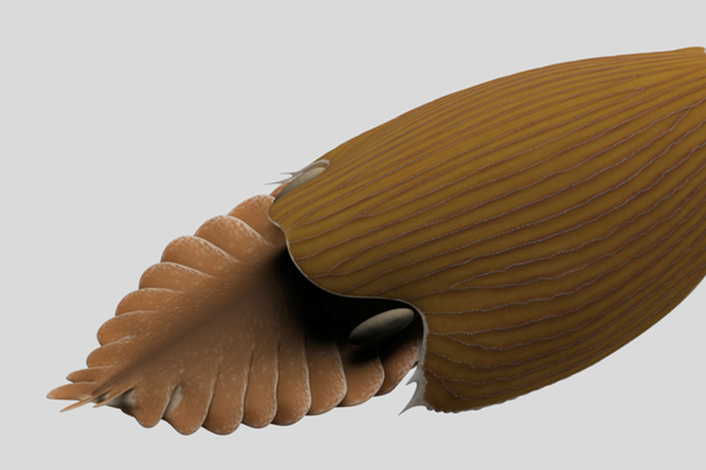 An artist representation of what the ancient predator, Titanokorys gainesi may have looked like