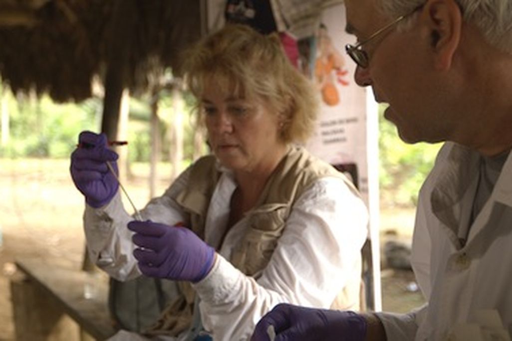 In the Amazon
