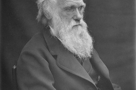 The researchers posit that Darwin contracted Lyme disease while exploring the expanses of Great Britain
