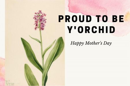 Proud to be Y'orchid. Happy Mother's Day. Mary Vaux Walcott, "Small Purple Fringe Orchid Habenaria psychodes, 1932