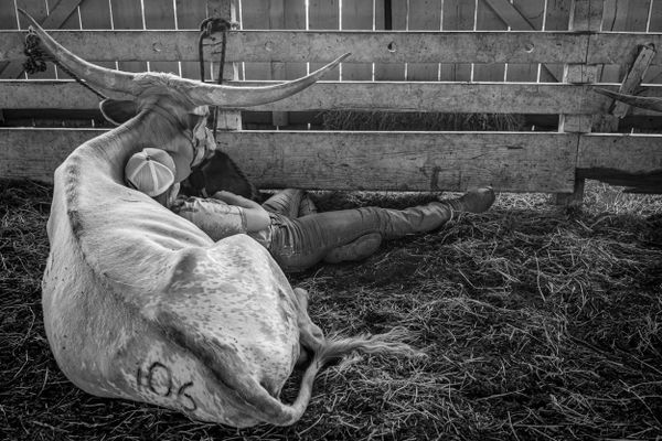 Sleeping Cowgirl thumbnail